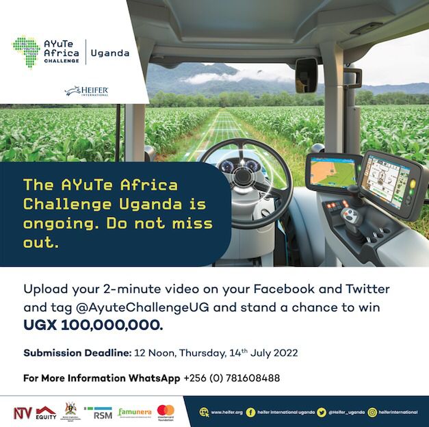 Ideas and Innovation: Heifer International AYuTe Uganda