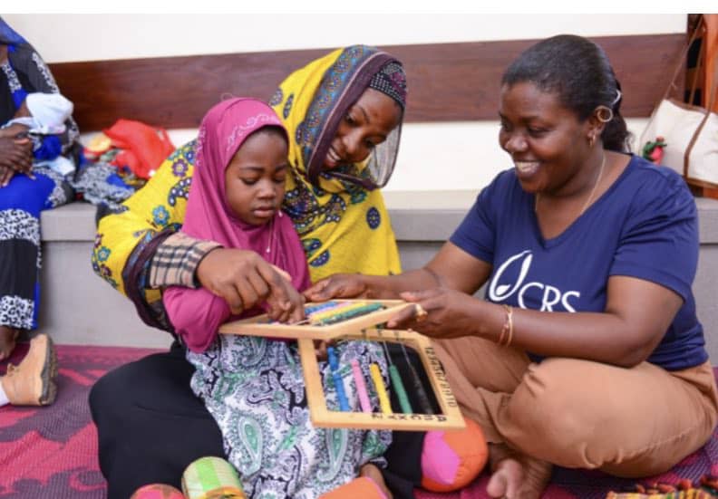 Fellowship Crs Junior Professionals Program